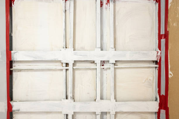 Best Asbestos and Lead Testing During Mold Inspection  in Fort Myers Shores, FL