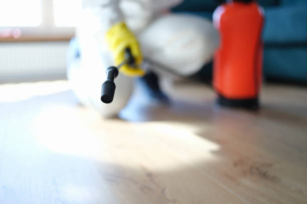 Best Comprehensive Air Testing for Mold Contaminants  in Fort Myers Shores, FL