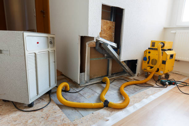 Best Mold Remediation for Healthcare Facilities  in Fort Myers Shores, FL