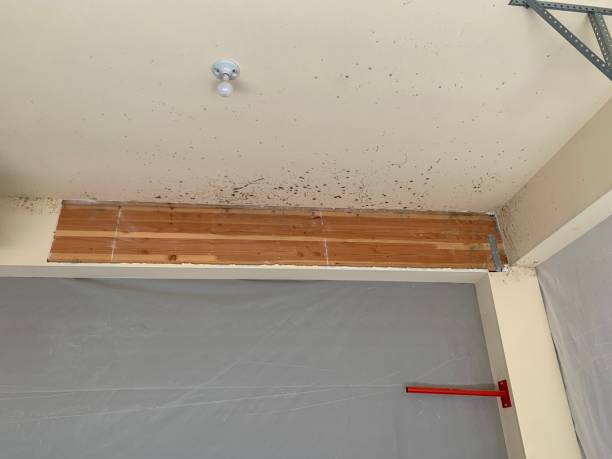 Best Commercial Mold Inspection  in Fort Myers Shores, FL