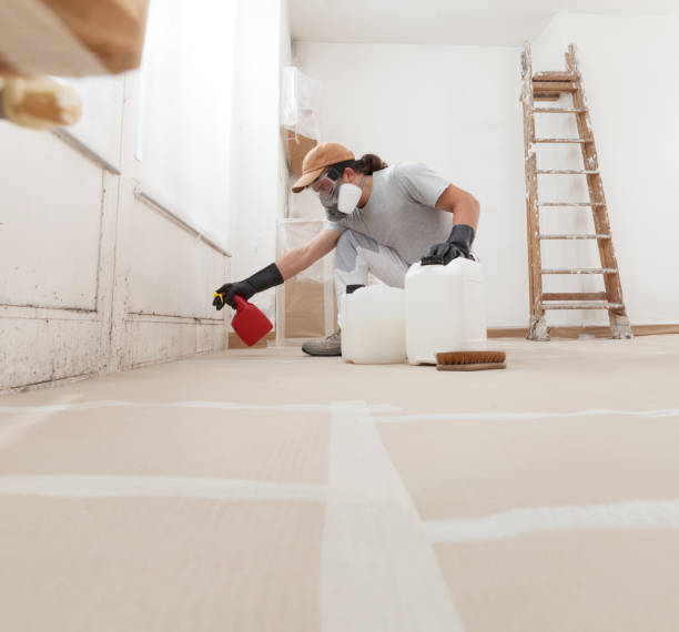 Reliable Fort Myers Shores, FL Mold Removal Solutions